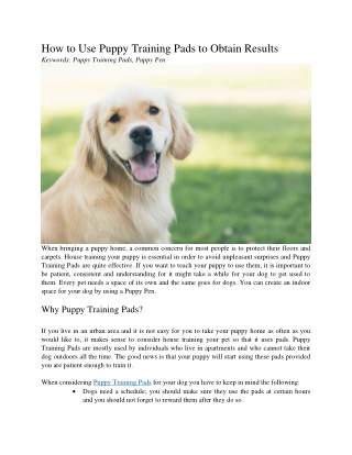 How to Use Puppy Training Pads to Obtain Results