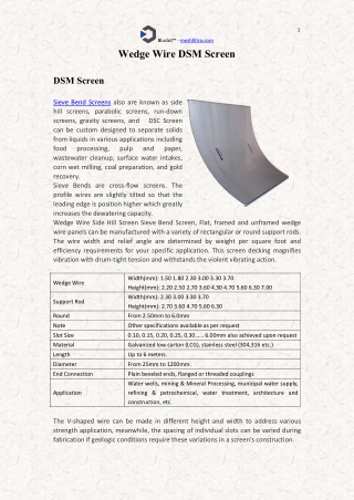 Wedge Wire DSM Screen