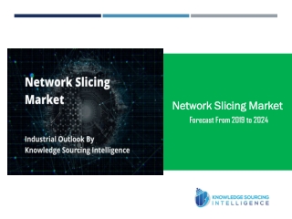 Industrial Outlook of Network Slicing Market by Knowledge Sourcing