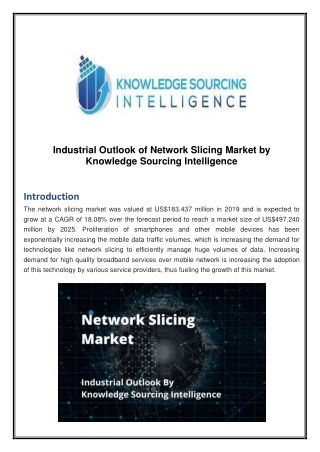 Industrial Outlook of Network Slicing Market by Knowledge Sourcing