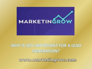 Why is SEO important for a Lead generation?