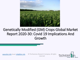 Genetically Modified Crops Market Size And Forecast Edited By Leading Research Firm