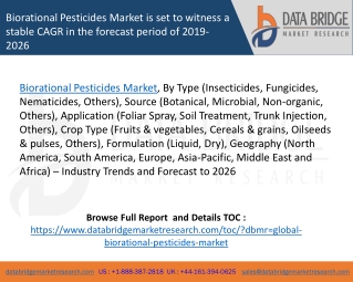 Biorational pesticides market is set to witness a stable cagr in the forecast period of 2019-2026