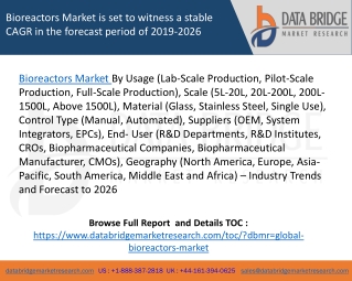 Bioreactors Market is set to witness a stable CAGR in the forecast period of 2019-2026