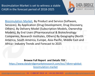 Biosimulation Market is set to witness a stable CAGR in the forecast period of 2018-2025