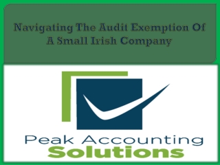 Navigating The Audit Exemption Of A Small Irish Company