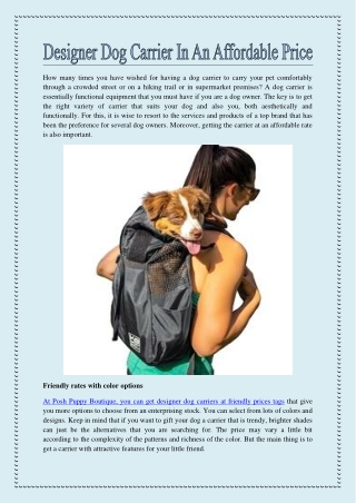 Designer Dog Carrier In An Affordable Price