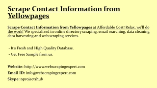 Scrape Contact Information from Yellowpages