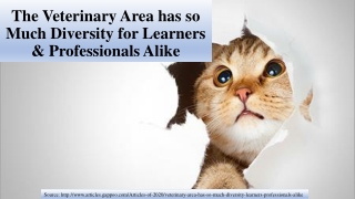 The Veterinary Area has so Much Diversity for Learners & Professionals Alike