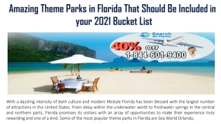 Amazing Theme Parks in Florida That Should Be Included in your 2021 Bucket List