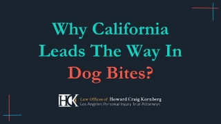 Why California Leads The Way In Dog Bites?