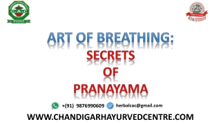 Pranayama and Its Benefits