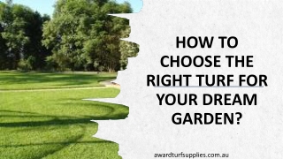 How To Choose The Right Turf For Your Dream Garden?