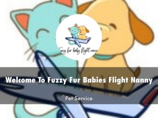 Information Presentation Of Fuzzy Fur Babies Flight Nanny