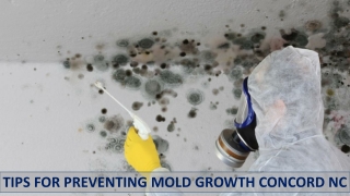 Tips for Preventing Mold Growth in Concord NC