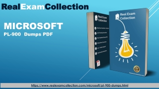 2020 PL-900 Actual Tests - PL-900 Actual Dumps PDF - Realexamcollection