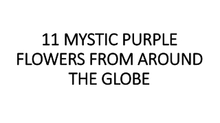 11 MYSTIC PURPLE FLOWERS FROM AROUND THE GLOBE