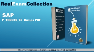 Latest 2020 P_TSEC10_75 Exam Questions With Valid P_TSEC10_75 Dumps