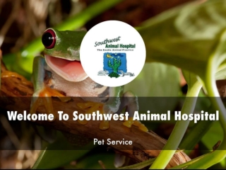 Information Presentation Of Southwest Animal Hospital