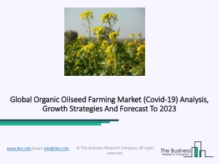 Organic Oilseed Farming Market Size And Forecast 2020 Due To COVID-19 Impact