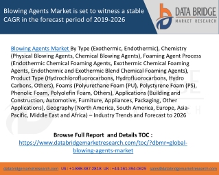 Blowing Agents Market is set to witness a stable CAGR in the forecast period of 2019-2026