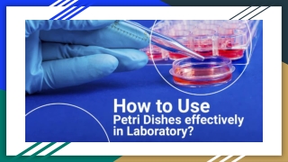 How to Use Petri Dishes effectively in Laboratory | Science Equip Pty Ltd