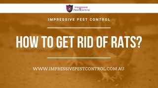 How to get Rid of Rats | Impressive Pest Control