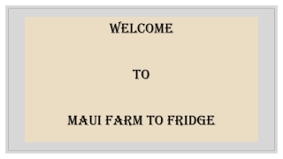 Maui Food Delivery