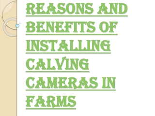 Importance of Installing Calving Cameras