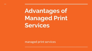 wide range for solutions form printer's cartridges to print management service