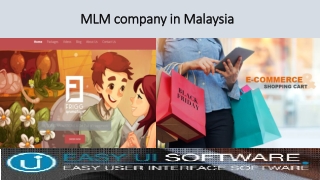 MLM Company in Malaysia