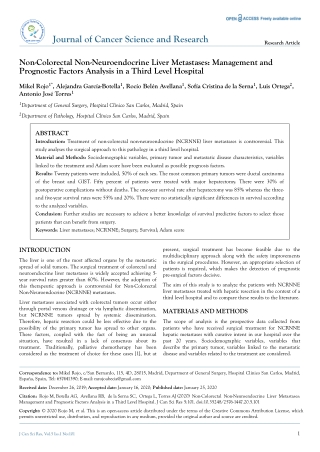 Non-Colorectal Non-Neuroendocrine Liver Metastases: Management and Prognostic Factors Analysis in a Third Level Hospital