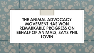 The Animal Advocacy Movement Has Won Remarkable Progress On Behalf Of Animals, Says Phil Lovin