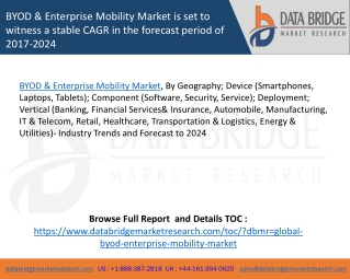 BYOD & Enterprise Mobility Market is set to witness a stable CAGR in the forecast period of 2017-2024