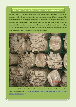 Best Quality Oyster Mushroom Spawn & Mushroom Logs For Sale