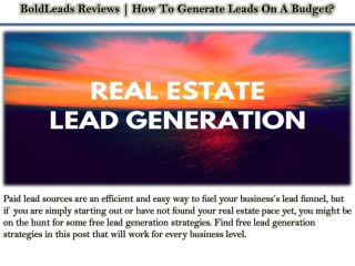 BoldLeads Reviews | How To Generate Leads On A Budget?