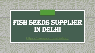 Fish Seeds supplier in Delhi