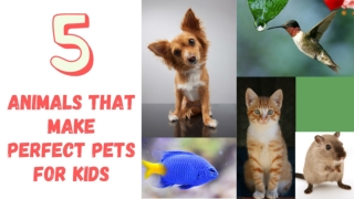 5 Animals That Make Perfect Pets for Kids
