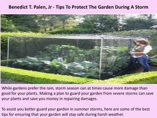 Benedict T. Palen, Jr - Tips To Protect The Garden During A Storm