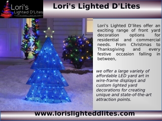 Outdoor Lighted Christmas Decorations LED