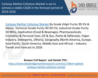 Carboxy Methyl Cellulose Market is set to witness a stable CAGR in the forecast period of 2019-2026