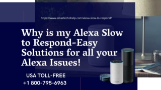 Alexa Slow to Respond Fix now | Alexa is Not Responding -Call Now