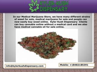Kyler Kush Dispensary | Buy Marijuana Online | Weed Store