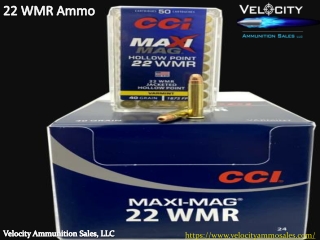 22 WMR Ammo