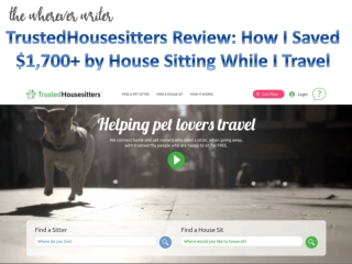 TrustedHousesitters Review: How I Saved $1,700  by House Sitting While I Travel