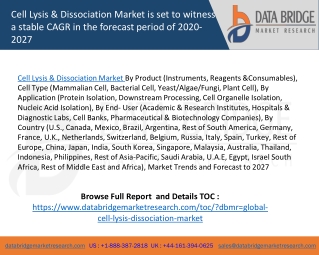 Cell Lysis & Dissociation Market is set to witness a stable CAGR in the forecast period of 2020-2027