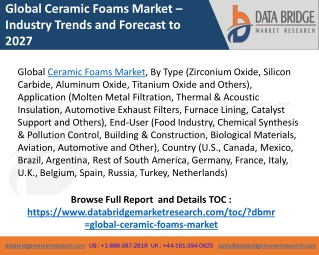 Global Ceramic Foams Market