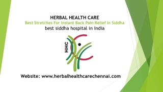 BEST STRETCHES FOR INSTANT BACK PAIN RELIEF IN SIDDHA