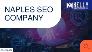 Naples SEO Company