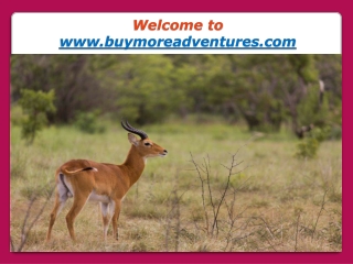 Perceive the Abundant Wildlife Attractions on Exclusive Kenya Luxury Safari Tours